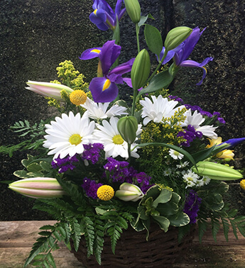 Iris & Daisy Basket