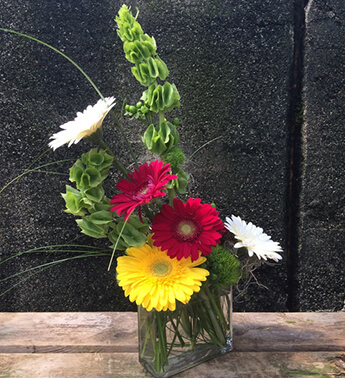 Modern Gerbera Daisies