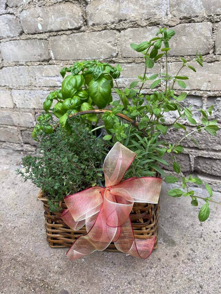 Herb Garden Basket